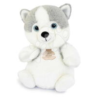 Plyšový pejsek Husky The Little Companions Histoire d’ Ours bílý 20 cm od 0 měsíců