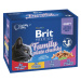 Kapsičky Brit Premium Cat Family 12x100g