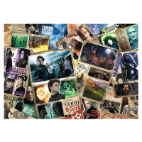 Puzzle Harry Potter: Postavy