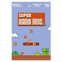 Plakát, Obraz - Super Mario Bros. - World 1-1, (61 x 91.5 cm)