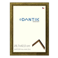 DANTIK rámeček 29,7 × 42, SARTORI listy zlatý plexi čiré