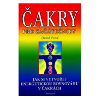 Čakry pro začátečníky - Jak si vytvořit energetickou rovnováhu v čakrách - David Pond