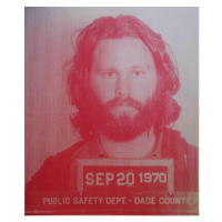 Obrazová reprodukce Jim Morrison IV, 2016, Studwell, David, 35x40 cm