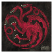 Umělecký tisk Game of Thrones - Targaryen sigil, (40 x 40 cm)