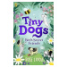 Tiny Dogs: Bea’s Secret Friends - Rose Lihou - kniha z kategorie Pohádky