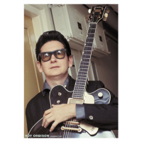 Plakát, Obraz - Roy Orbison - Colour with Gretsch London 1967, 59.4 × 84 cm