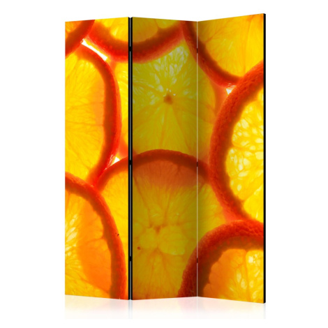 Paraván Orange slices Dekorhome 225x172 cm (5-dílný) Artgeist