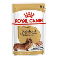 Royal Canin Dachshund 12 × 85 g