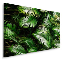 MyBestHome BOX Plátno Zelené Palmové Listy Varianta: 70x50
