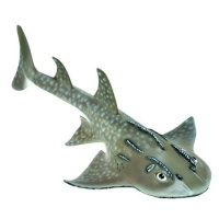 Collecta žralok kytarovec křivoústý