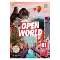 Open World Preliminary Self Study Pack (SB w Answers w Online Practice and WB w Answers w Audio 