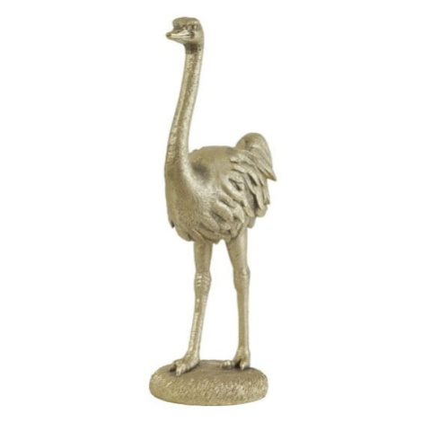 Soška z polyresinu Ostrich – Light & Living