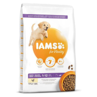 IAMS Dog Puppy Large Chicken 12kg