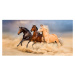 BedTex Osuška Divocí koně v poušti