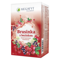 Megafyt Brusinka s bezinkou porcovaný čaj 20x2 g