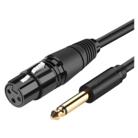 Ugreen audio kabel mikrofonní kabel XLR (samice) - 6,35 mm jack (samec) 3 m (AV131)