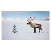 Ilustrace a reindeer with ornaments in his antlers by tree, Per Breiehagen, 40 × 23.9 cm