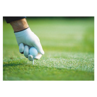 Fotografie Golfer's gloved hand teeing up, close-up, Laurence Mouton, 40x30 cm