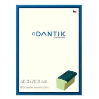 DANTIK rámeček 50 × 70, BOX modrý mořený plexi čiré