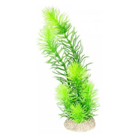 Ebi AQUA DELLA Rostlina umělá HORNWORT 24cm zelená