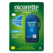 Nicorette Mint 4mg pas.cmp.20