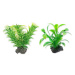 Rostliny TETRA DecoArt Plantastics XS zelené 6 ks