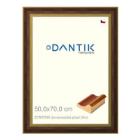 DANTIK rámeček 50 × 70, ZVRATNÝ červenozlatý plast plexi čiré