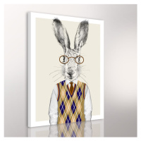 Obraz na plátně MR. RABBIT různé rozměry Ludesign ludesign obrazy: 80x60 cm