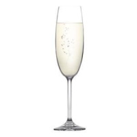 Sklenice na šampaňské SOMMELIER 210ml, 6ks - Tescoma