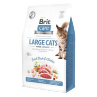 Brit Care Cat Grain-Free Large cats Power & Vitality 400 g