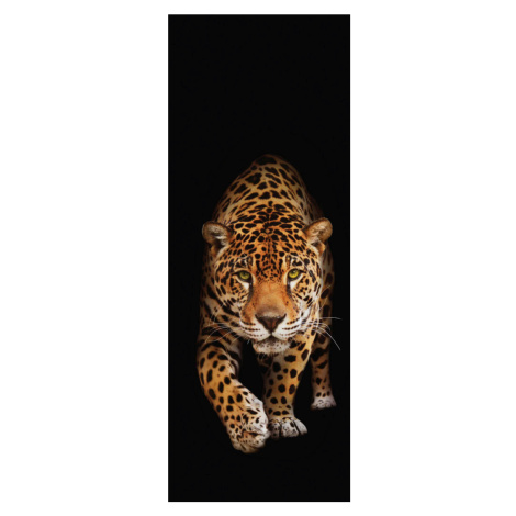 Euroart OBRAZ NA SKLE, zvířata cm