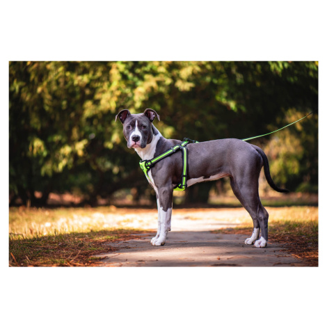 Vsepropejska Walk postroj pro psa s vodítkem | 37 – 75 cm Barva: Žlutá, Obvod hrudníku: 37 - 53 
