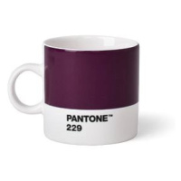 PANTONE Espresso - Aubergine 229, 120 ml