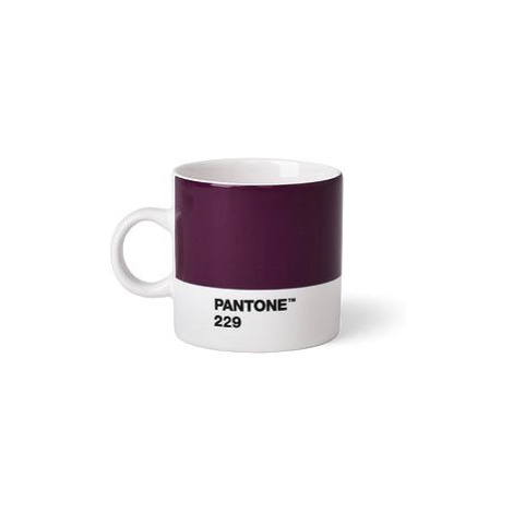 PANTONE Espresso - Aubergine 229, 120 ml