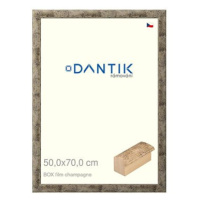 DANTIK rámeček 50 × 70, BOX film champagne plexi čiré