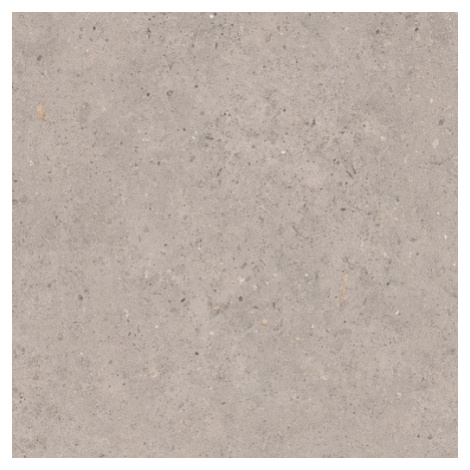 Biophilic grey  60x60 8,5MM GRIP Pastorelli