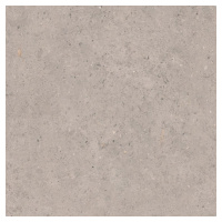 Biophilic grey  60x60 8,5MM GRIP