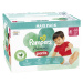 PAMPERS Kalhotky plenkové Harmonie Pants vel. 4 (74 ks) 9-15 kg