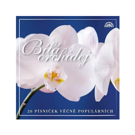 Various: Bílá orchidej 20 písniček věčně populárních - CD