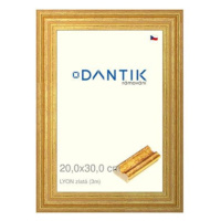 DANTIK rámeček 20 × 30, LYON zlatý sklo čiré