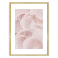 Dekoria Plakát Pastel Pink I, 21 x 30 cm, Zvolit rámek: Zlatý