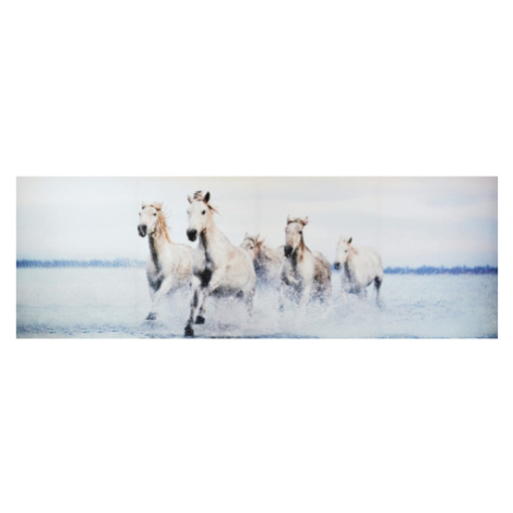 Obraz na plátně Stádo koní, 150x50 cm Asko
