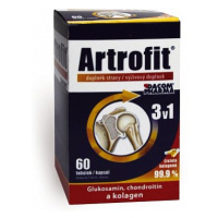 Artrofit Tobolek 60