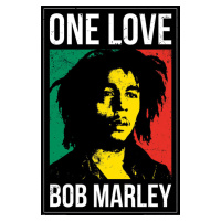 Plakát, Obraz - Bob Marley - One Love, (61 x 91.5 cm)
