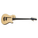 Godin A5 Ultra Natural Fretless A/E with Bag