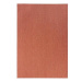 Hanse Home Collection Kusový koberec Meadow 102725 terracotta, 200 × 290 cm
