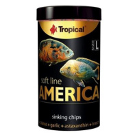 Tropical America L 100 ml 52 g