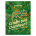 Co nám poví chameleon - Zora Sládková