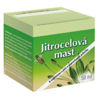 Herbacos Mast jitrocelová 50ml