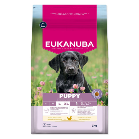 Eukanuba Krmivo Puppy Large rich in fresh chicken 3kg